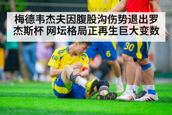 梅德韦杰夫因腹股沟伤势退出罗杰斯杯 网坛格局正再生巨大变数